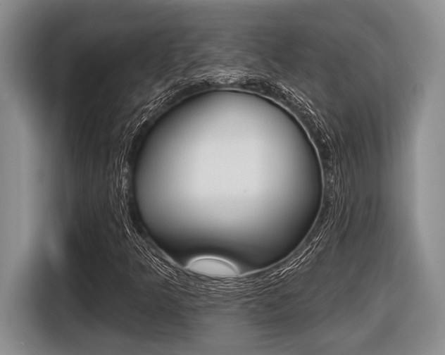 X0000116451349200912081405