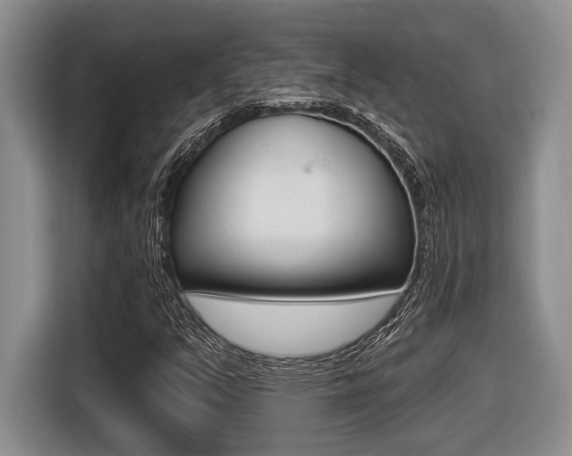 X0000116451351200912081405
