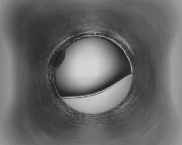 X0000116451352200912081405