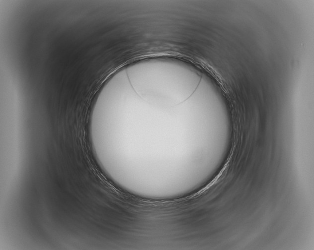 X0000116451353200912081405