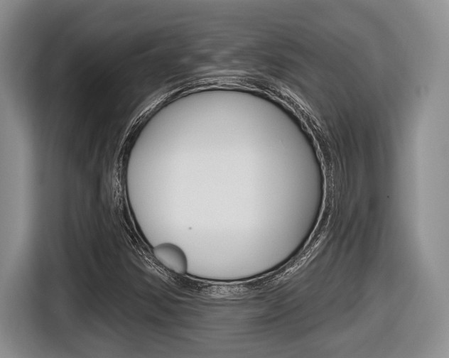 X0000116451354200912081405