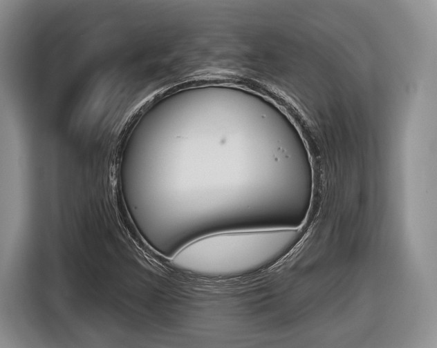 X0000116451355200912081405
