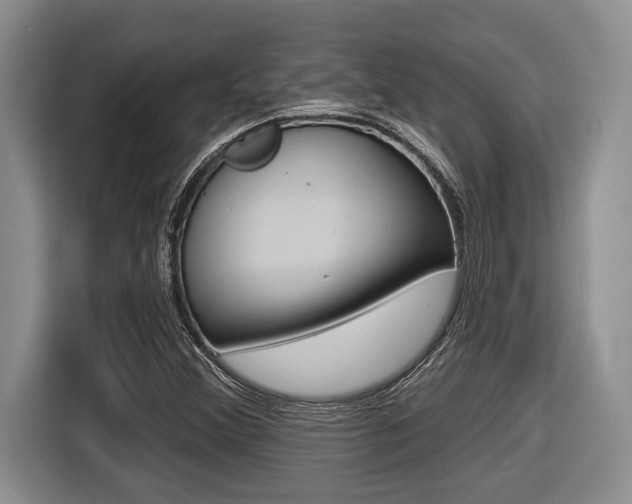 X0000116451356200912081405
