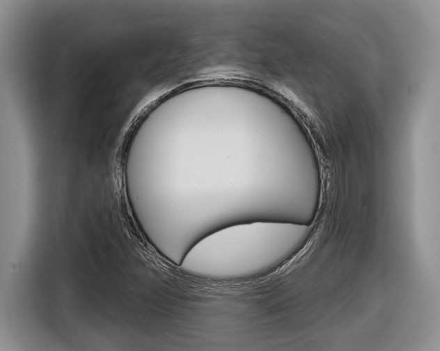 X0000116451358200912081405