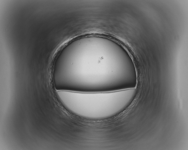 X0000116451359200912081405