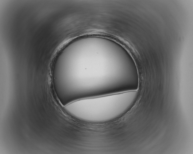 X0000116451363200912081405