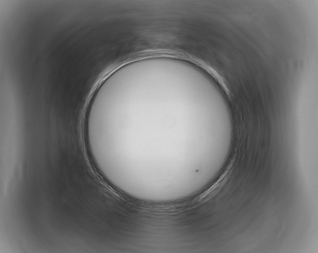 X0000116451365200912081405