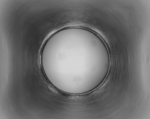 X0000116451366200912081405