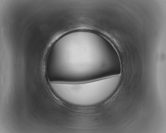 X0000116451367200912081405