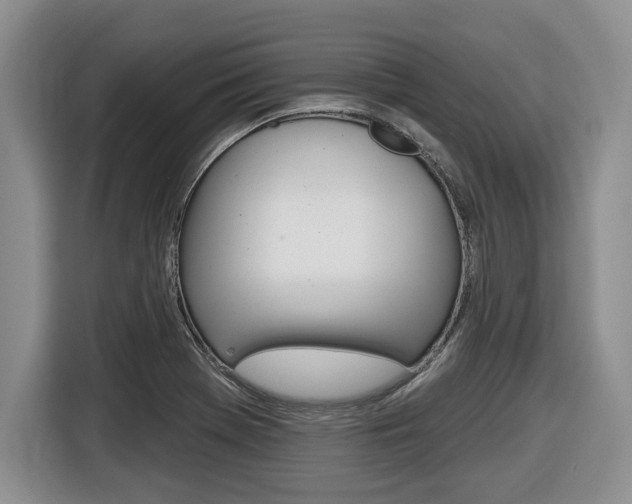 X0000116451369200912081405
