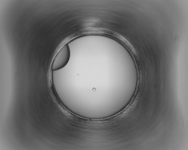 X0000116451370200912081405