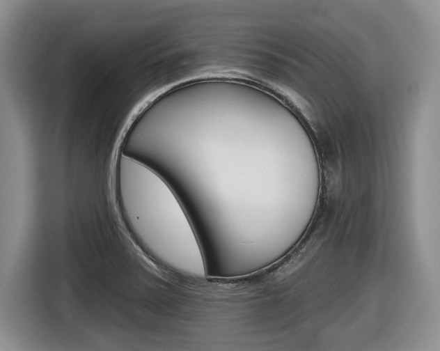 X0000116451371200912081405