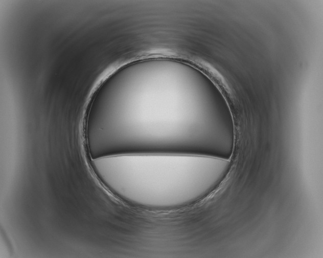 X0000116451373200912081405