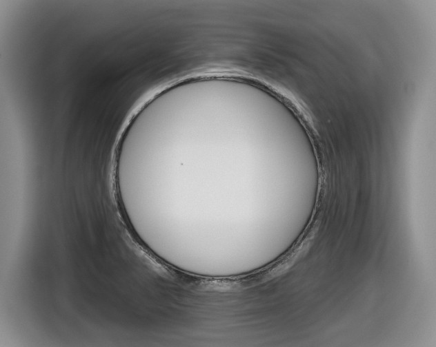 X0000116451374200912081405