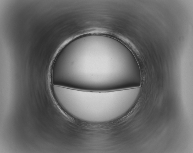 X0000116451375200912081405