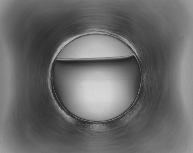X0000116451379200912081405