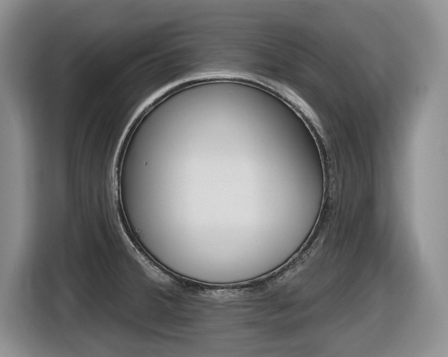 X0000116451380200912081405
