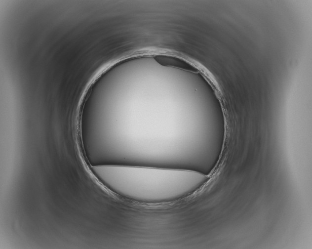 X0000116451381200912081405