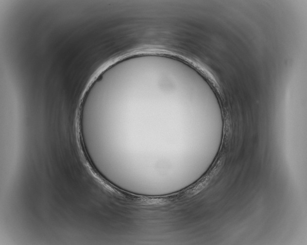 X0000116451382200912081405