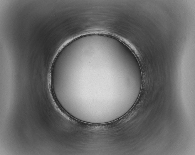 X0000116451383200912081405