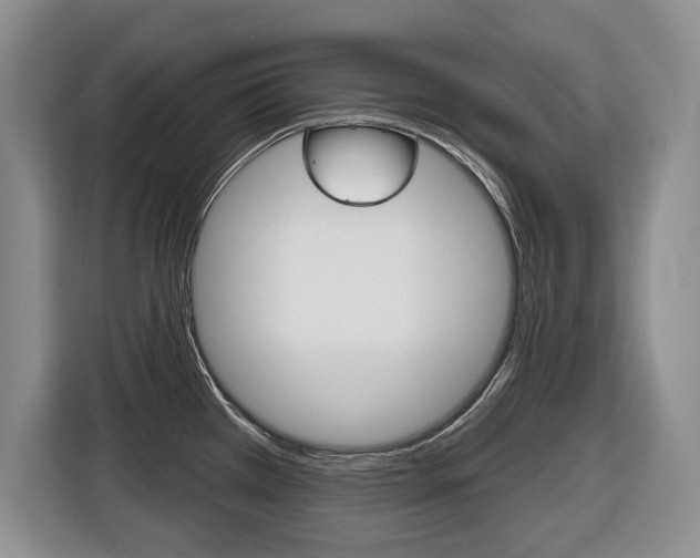 X0000116451385200912081405