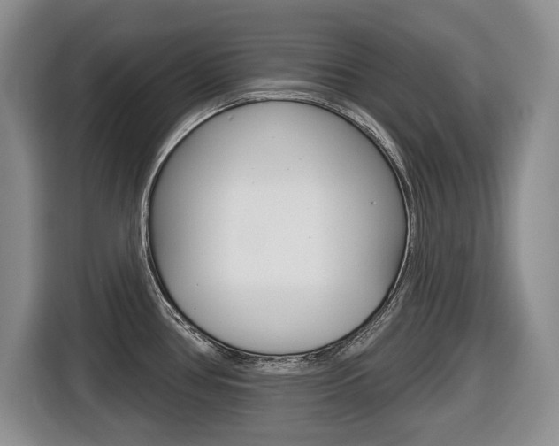 X0000116451386200912081405