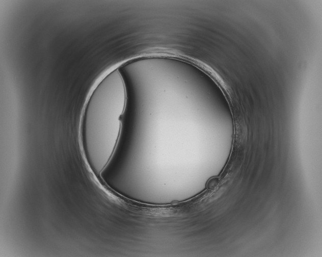 X0000116451387200912081404