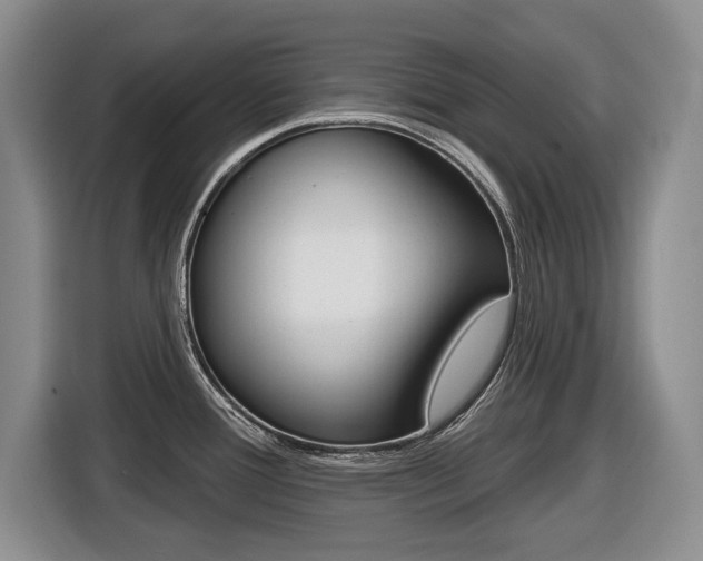 X0000116451388200912081404
