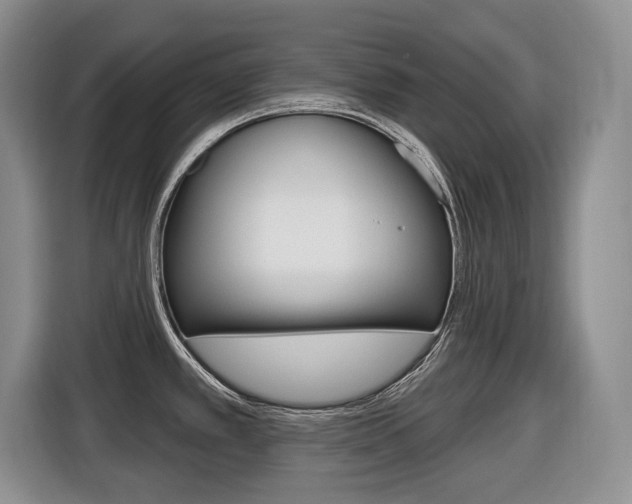 X0000116451389200912081404