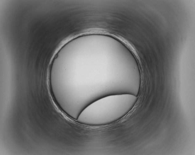 X0000116451390200912081404