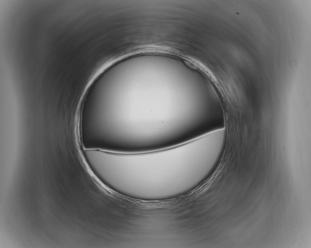 X0000116451391200912081404