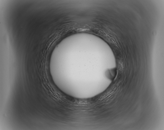 X0000116451393200912081404