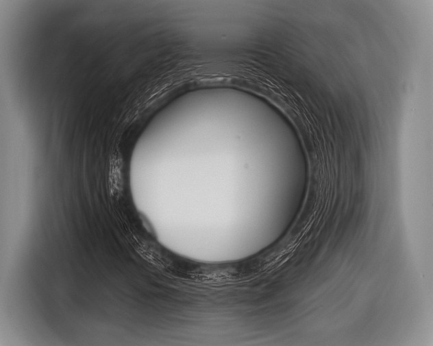 X0000116451394200912081404
