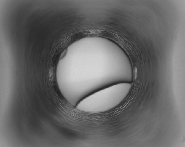 X0000116451395200912081404