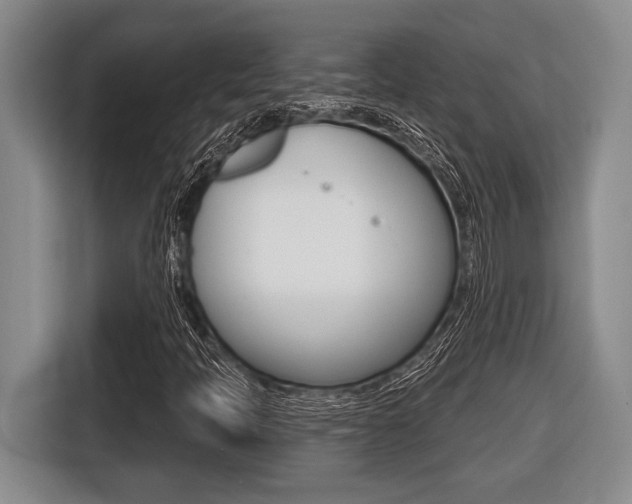 X0000116451397200912081404