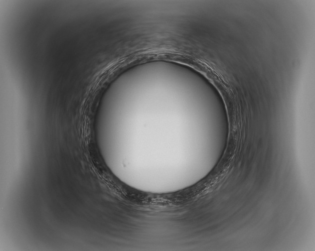 X0000116451398200912081404