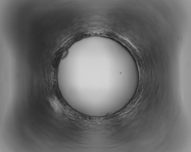 X0000116451399200912081404