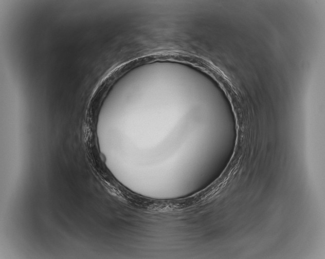 X0000116451400200912081404