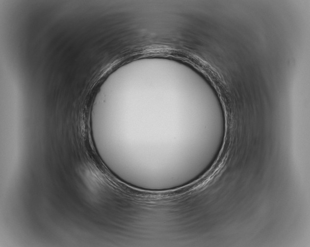 X0000116451401200912081404