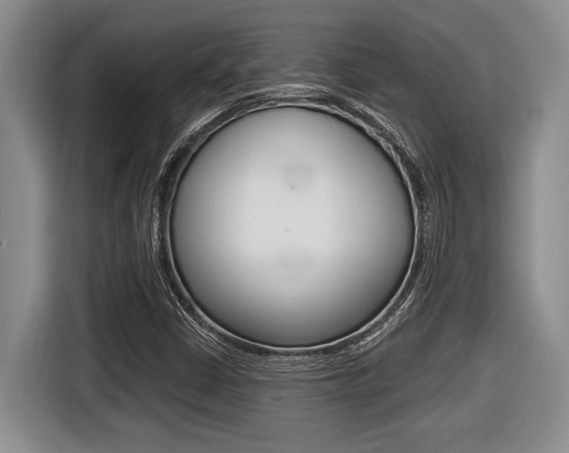 X0000116451402200912081404