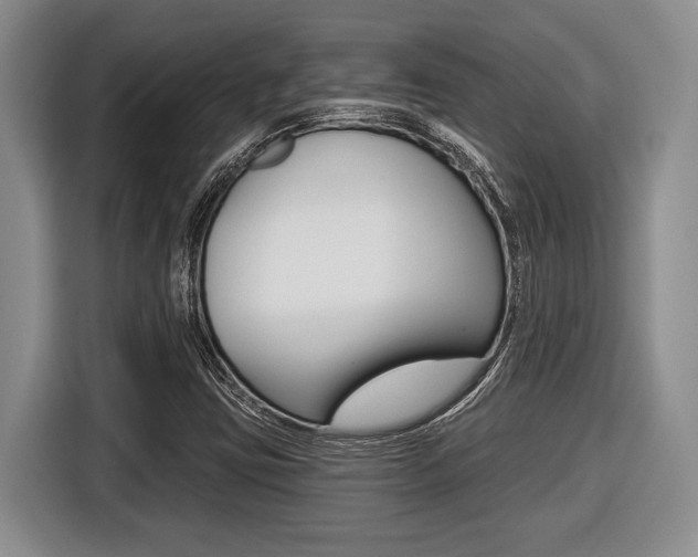 X0000116451403200912081404