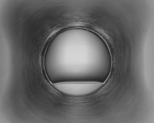 X0000116451404200912081404