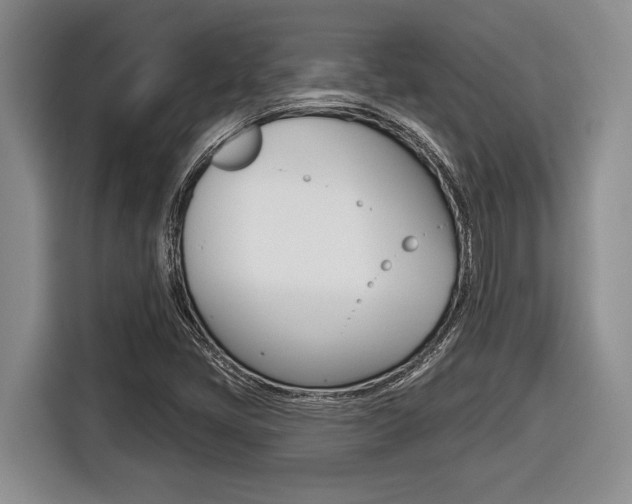 X0000116451405200912081404