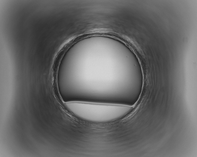 X0000116451406200912081404