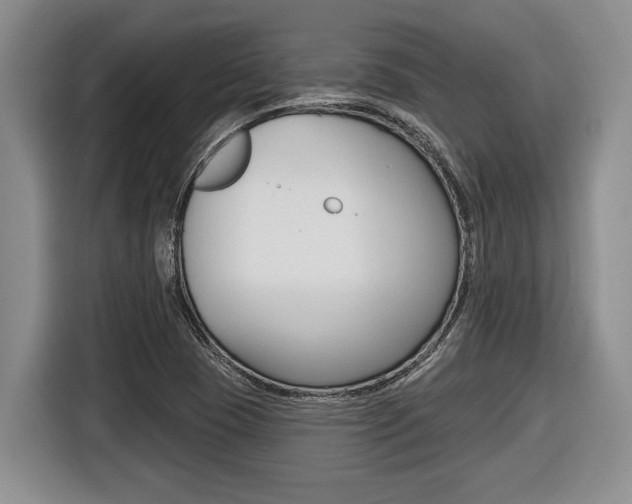X0000116451409200912081404
