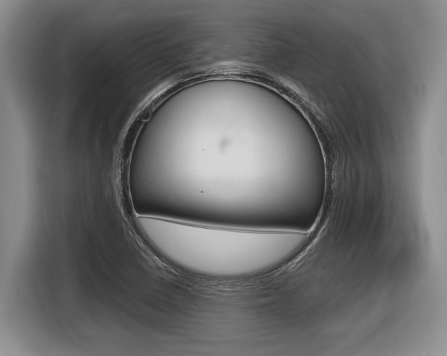 X0000116451410200912081404
