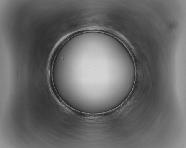 X0000116451416200912081404