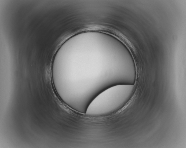 X0000116451417200912081404