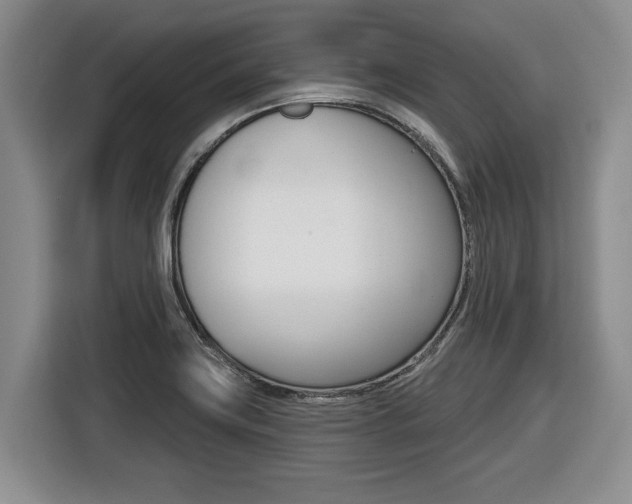 X0000116451419200912081404