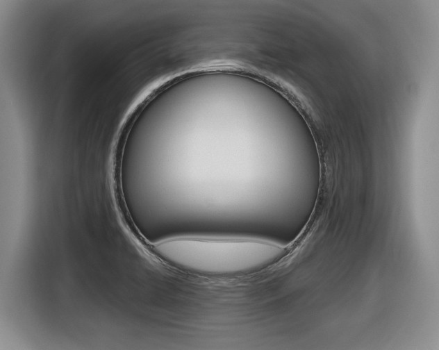 X0000116451422200912081404